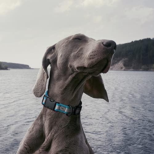 Dogline BioThane Reflective Dog Collar – Waterproof Heavy Duty Dog Collars – High Visibility Quick Release Dog Collar with Sturdy Buckle – Fun Modern Colors – Comfortable and Safe