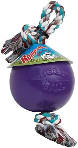 Jolly Pets Romp-N-Roll Rope & Ball Dog Toy, 8 in Large, Purple