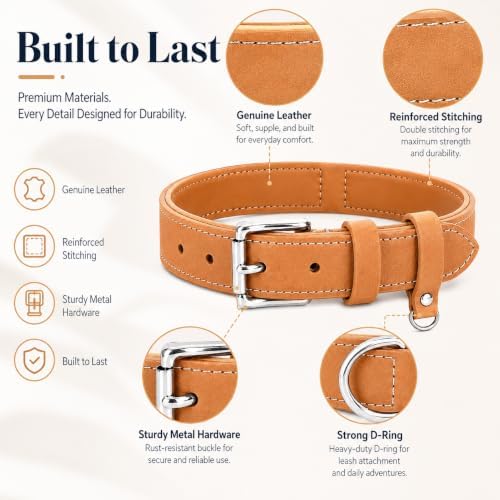Genuine Leather Dog Collar, Soft Padded Leather Dog Collars with Airtag Holder Case for Small Medium Large X-Large Dogs,Comfort Heavy Duty Pet Collar with Durable Metal Buckle & D-Ring-Khaki/XS