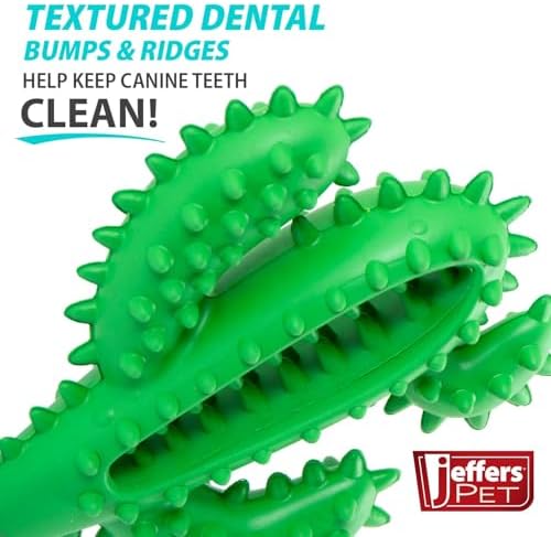 Jeffers Pet Natural Rubber Dog Chew Toy – Green Dental Cactus, Medium – Vanilla Scent, Durable, Non-Toxic, Dishwasher Safe, Interactive Fetch, Tug Toy & Dental Play - Perfect for Training
