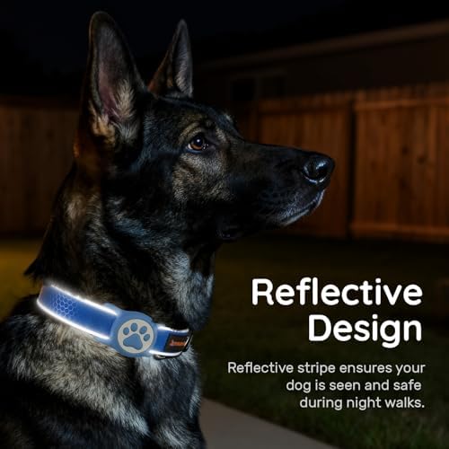 Heavy Duty Dog Collar with Silicone AirTag Holder, Waterproof & Reflective Padded Pet Collar for Night Walking, Hotpink Plaid Oxford Cloth, Adjustable Buckle (Blue S)