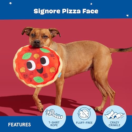 BarkBox Signore Pizza Face Interactive Dog Toy