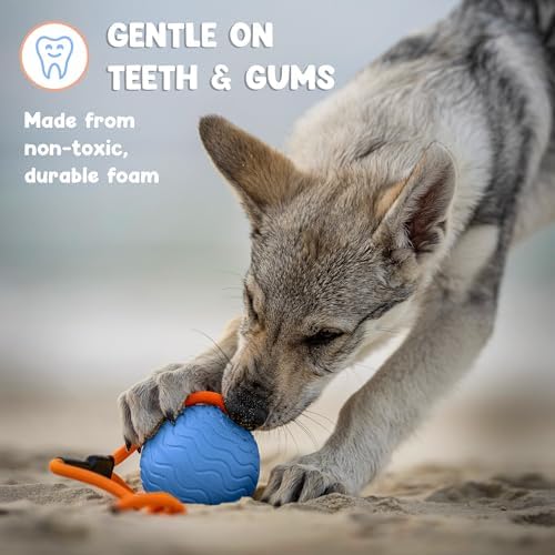 Dog Ball Toy with Rope, Durable EVA Foam Floating Dog Toy, Interactive Fetch & Toss n’ Train Tug Ball for Dogs, Bouncy Pet Ball for Outdoor Indoor Play - Blue, Medium