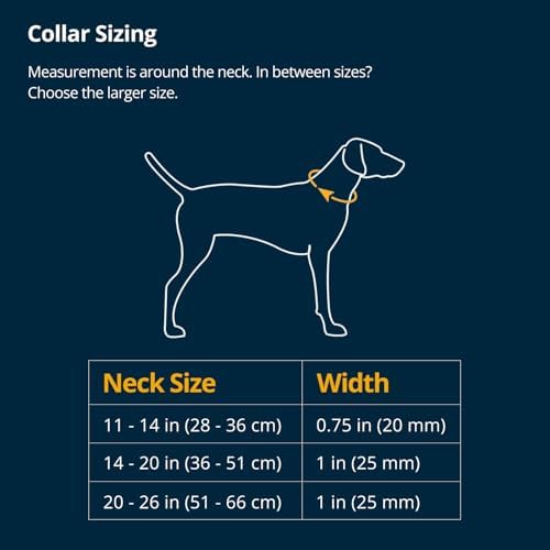 Ruffwear, Ridgeline Dog Collar, Magnetic Buckle, Obsidian Black, 20"-26"