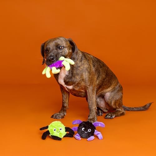 Fringe Studio Pet Toy, Webbed in Mischief Plush Dog Toy 3 PCS Set, PetShop Collection (662190)