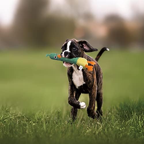 Nocciola 2 in 1 Easter Duck Dog Toy with a Large Rubber Squeaker - Tough Durable Stuffed Squeaky Crinkle Chew Toys for Aggressive Chewers, Medium and Large Breeds