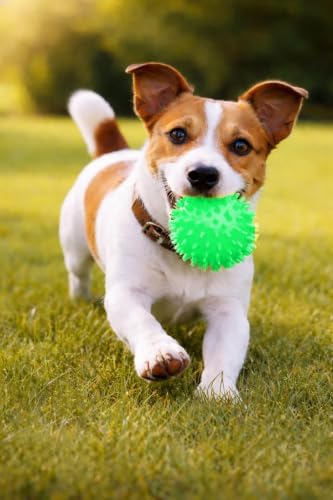 Squeaky Spiky Dog Balls for Teeth Cleaning & Gum Massage 2.5 Inch Small Medium Dogs Green | Spiny TPR Rubber Chew Toys for Fetch Play Interactive Bouncy Dental Balls BPA Free Nontoxic Floats - 3 Pack