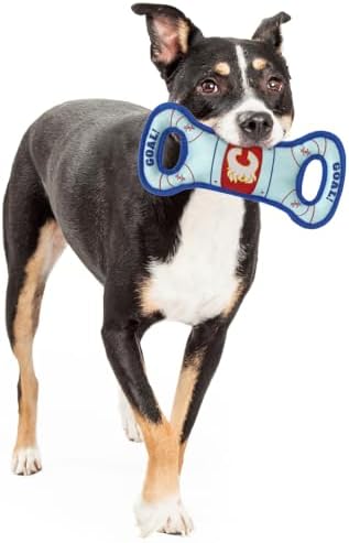 Pets First NHL Calgary Flames Ice Hockey Rink PET Toy with Inner Squeaker. A Tough Toy for Dogs & Cats with Exciting Hockey Graphics, Gorgeous Team Logo & Double Stitch Trims