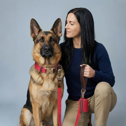 Personalized PU Leather Dog Collars, Quick Release Buckle, Red,XL