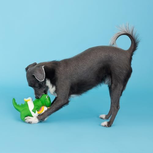 Fringe Studio Pool Side REX Latex DOYG Toy, Pet Shop Collection (366011)