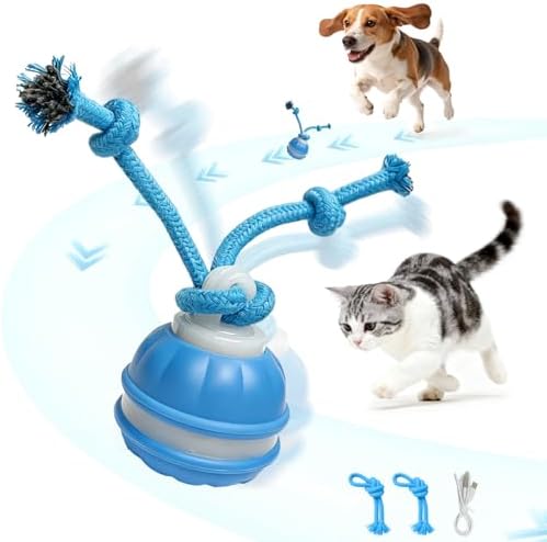 Interactive Dog Toy, Automatic Rolling Ball with Bird Sound, 3 Mode Pet Toy