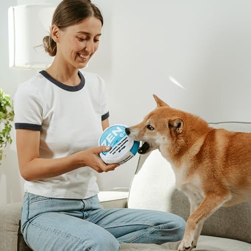 Nestpark Zen Pupper Deckies Parody Dog Toy - Plush Squeaky and Crinkle Funny Dog Toy - Drool Mint