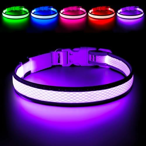 Flashseen LED Light Up Dog Collar, USB Rechargeable, Purple, S