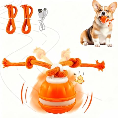 P06 Interactive Dog Toys Dog Balls, Electric Automatic Moving and Rolling Dog Toy with Rope for Small Medium Dogs, Fun Smart Puppy Toy s for Boredom & Training, Dog Toys to Keep Them Busy (Orange)