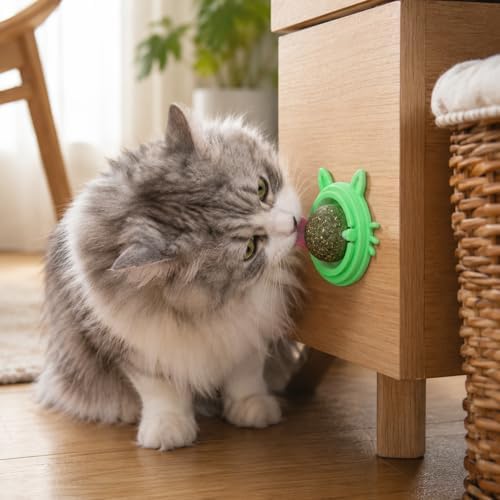 Catnip Lick Toy for Indoor Cats, Wall Mounted 360° Rotating Catnip Ball with Dust Cover, Strong Adhesive Natural Cat Mint Ball for Licking Chewing Dental Care, Boredom Relief Interactive Kitten Toy