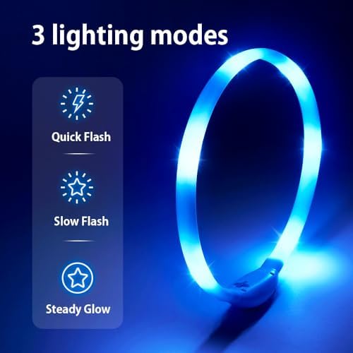 Led Dog Collar, BSEEN Light Up Dog Collars USB Rechargeable Flash Dog Necklace, Silicone Cuttable Lighted Puppy Collar, Glowing Dog Walking Lights for Small Dogs& Cats (Blue-XS(40cm))