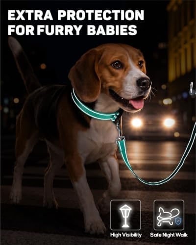 Padded Dog Collar with Waterproof Holder Compatible with Airtag