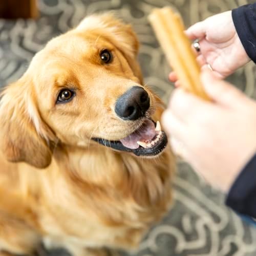 WEST PAW Dental Sticks Durable Dog Chew for Interactive Play, Clean Teeth and Fresh Breath - Safe Reliable and Long Lasting - 14 oz Bag for Large Dogs