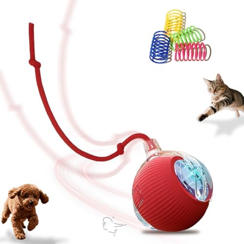Rechargeable Smart Cat Toy Ball for Indoor Cats & Small Dogs Playing