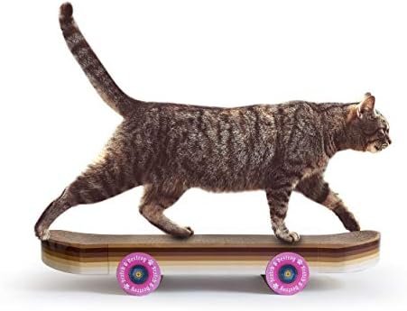 Suck UK Cat Scratcher Skateboard - Cat Scratching Board - Cardboard Cats Scratchers - Funny Gifts - Kitten Accessories & Accessories for Indoor Cats Furniture - Kitten Cardboard Scratcher