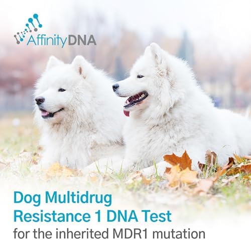Dog Multidrug Resistance 1 (MDR1) DNA Test Kit | Home Sample Collection Kit for 1 Canine | Puppy MDR1 Testing Kits | Results in 10-15 Working Days | A Complete Kit with No Extra Fees
