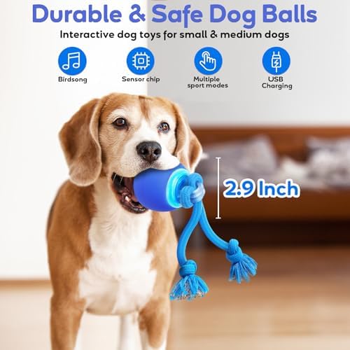Interactive Dog Toys to Keep Them Chase Busy Buddy Doggie Ball for Small Puppy(Blue)