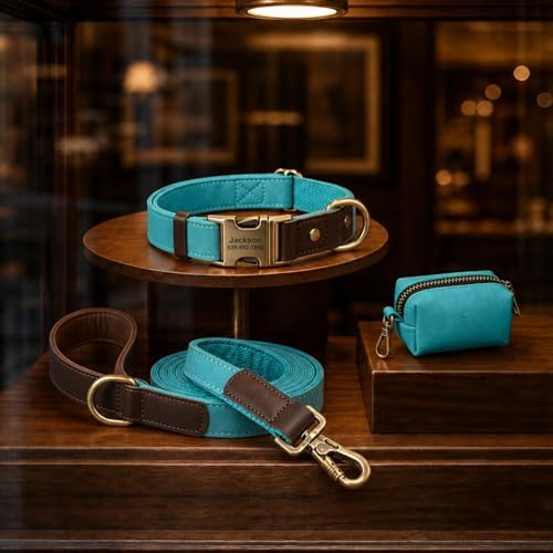 Personalized Dog Collars, Quick Release Buckle, Light Blue,XL