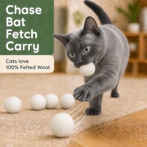 Balls for Cats - Felt Wool Cat Toy Balls for Small Pet Fetch and Play - Eco Friendly Quiet Wool Ball Cat Toy for Cats and Kittens - Choose Your Colors (White)