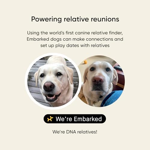 Embark Breed & Health Dog DNA Test – 400+ Breeds, 270+ Health Risks | Only dog DNA test with allergy risk scores. Coat traits, canine relative finder, genetic cancer risk score included.