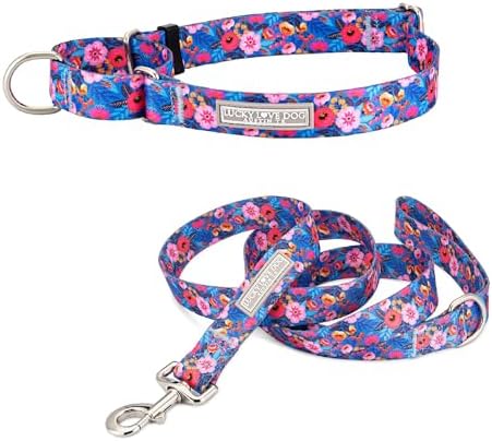 Lucky Love Dog Martingale Collar and Leash Set for Large Dogs – Zuzu, Large