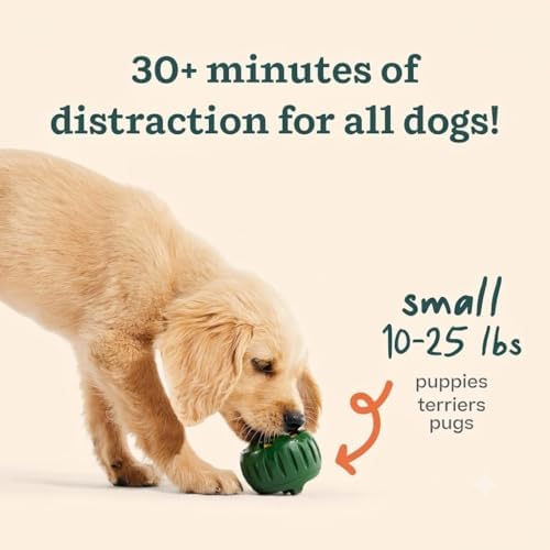 WOOF Starter Pack Dog Treat Toy for Small Dogs 10-25 lbs | Long-lasting enrichment kit, Pupsicle toy included, reusable treat mold, chicken Pops, DIY frozen treats