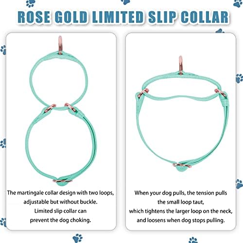 Soft Leather Martingale Dog Collar - Adjustable Rose Gold Limited Slip Collars [Easy to Clean], Stylish Durable Heavy Duty Nylon No Pull Training Collar for Small Medium Large Dogs XS Mint Green