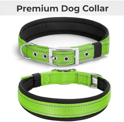 Reflective Dog Collar for Small Dogs Wide Padding 6 Holes Adjusta