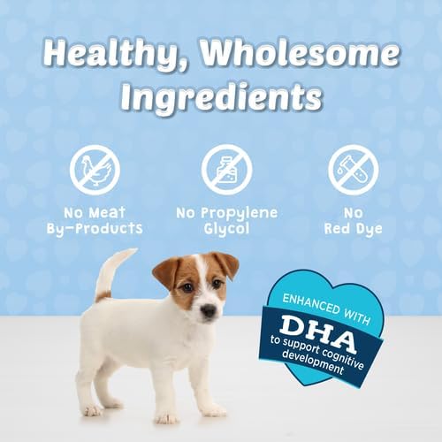 Blue Buffalo Bits Soft Dog Treats for Training, Made with Natural Ingredients & Enhanced with DHA, Turkey Recipe, 4-oz Bag (Pack of 6)