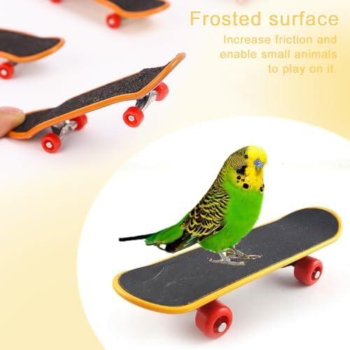 Mini Turtle Skateboard for Small Pets - Fun Tortoise Skateboard Toy for Reptiles, Bearded Dragons, Parrots, and Other Small Animals - Cute and Safe Skateboard for Turtles and Tortoises(Large)