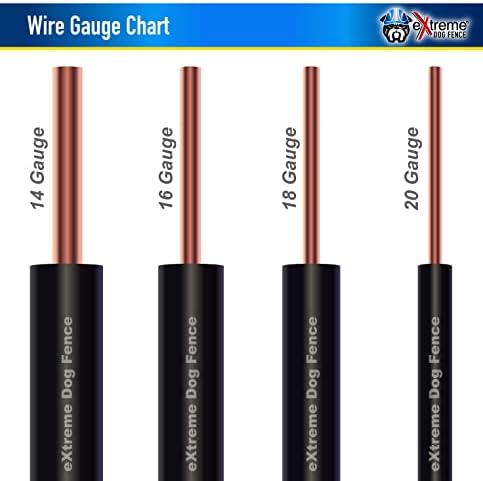 Underground Electric Dog Fence Kit, Standard, 2-Dog, 2000 ft