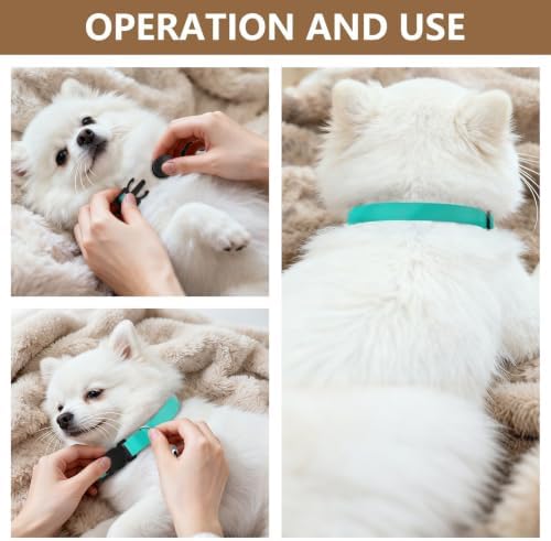 Aqua Turquoise Gradient Small Dog Collar 2 Pack Collars for Puppies Adjustable Length 10.6" to 17.1"