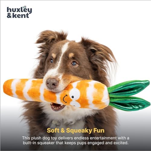 Huxley & Kent Funny Dog Toy w/Squeaker – Power Plush Squeaky Dog Toys for Small, Medium & Large Dogs – Soft Stuffed Animal for Indoor Play & Fetch - Fetchies® Sweet Carrot, Small