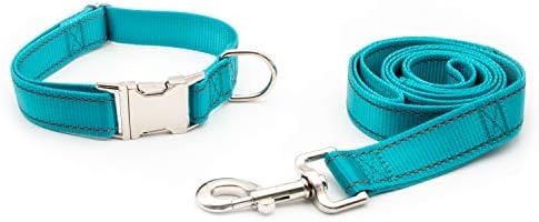 Personalized Dog Collar, Reflective Custom Dog Collar with Name Phone Number Adjustable Size (XS S M L) (Aqua)