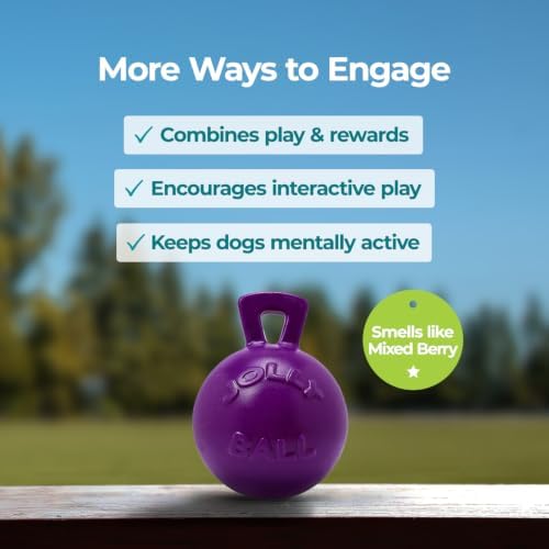 Jolly Pets Tug-n-Toss Heavy Duty Dog Toy Ball with Handle, 8 Inches/Large, Purple