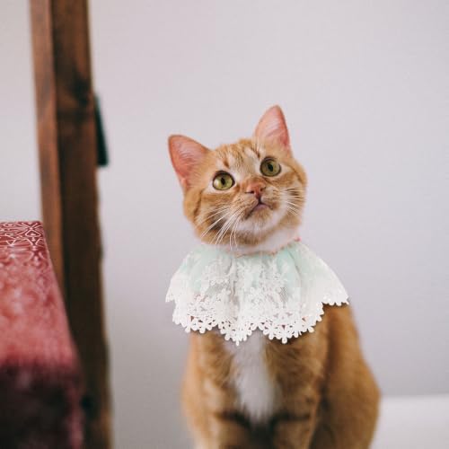Pet Cat Lace Necklace with Pearls Adjustable Blue Neckwear