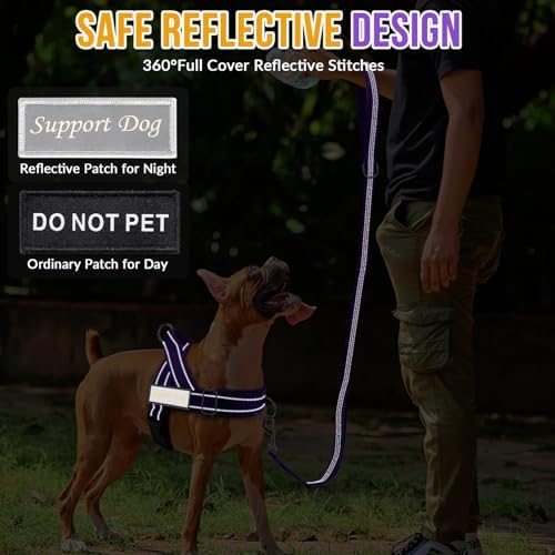 Lukovee No Pull Dog Harness and Leash Set, Soft Padded for Large Medium Dog
