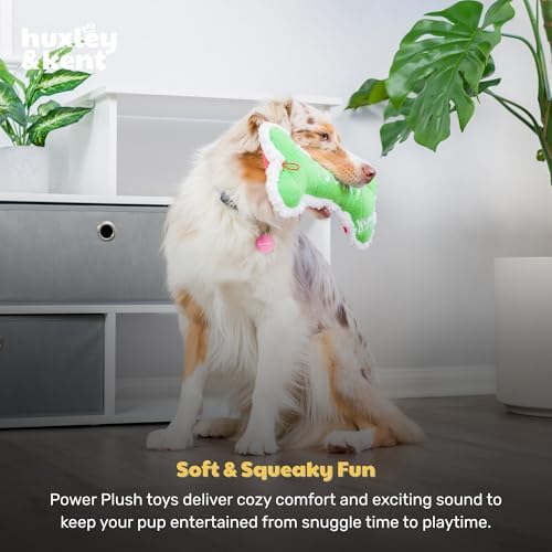 Huxley & Kent Funny Dog Toy w/Squeaker – Holiday Power Plush Squeaky Dog Toys for Small, Medium & Large Dogs – Soft Stuffed Animal for Indoor Play & Fetch - Me Did It, I Sorry Bone, Small