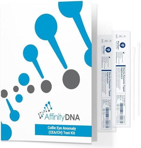Dog Collie Eye Anomaly Choroidal Hypoplasia (CEA/CH) DNA Test | Home Sample Collection Kit for 1 Dog | Results in 10-15 Working Days | A Complete Kit with No Extra Fees