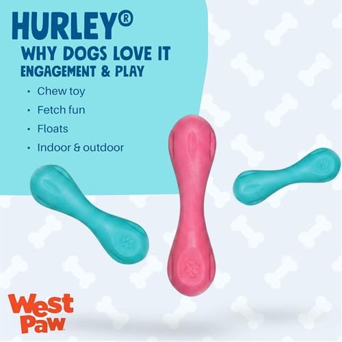 WEST PAW Zogoflex Hurley Dog Bone Chew Toy – Floatable Pet Toys for Aggressive Chewers, Catch, Fetch – Bright-Colored Bones for Dogs – Recyclable, Dishwasher-Safe, Non-Toxic, X-Small, Teal