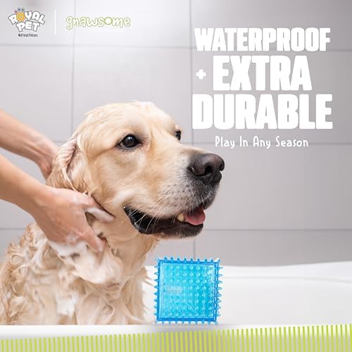 Gnawsome Dog Toys - 3.5" Squeaker Cube - Medium - Dental & Gum Wellness - Stimulating Fun - Hidden Squeaker - Durable for Heavy Chewers - 100% BPA-Free - Assorted Colors (Pack of 3)