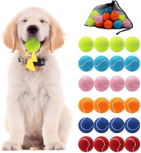 Swingers Squeaky Tennis Balls for Dog, 2.5 Inch Training Tennis Balls