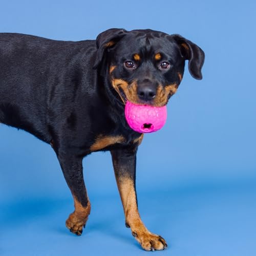Fringe Studio You're A Hoot HOT Pink Rubber Dog Toy, Pet Shop Collection (518045)