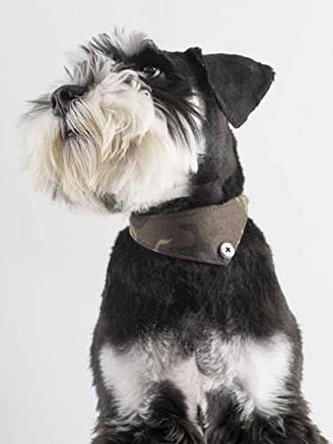 Small Dog Collar Set, 2Pcs Puppy Cat Collar with Bow Tie & Bandana, Durable PU Leather Canvas Tiny Pet Scarf for Small Breed Pets camo-Green