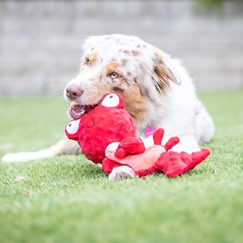 Huxley & Kent Slappies Plush Dog Toy, Claude Lobster, Large